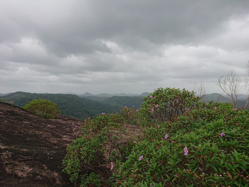 Kohobagala Mountain - Kohobagala Mountain, Kandy - Colombo Rd, Sri Lanka