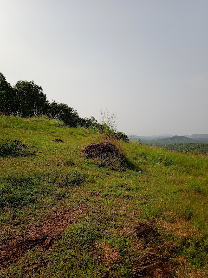 Aanjilora Hills - Aanjilora Hills, Malayil,Cheruvatta,Parambil (Po, via, Marikkunnu, Kozhikode, Kuruvattoor, Kerala 673012, India