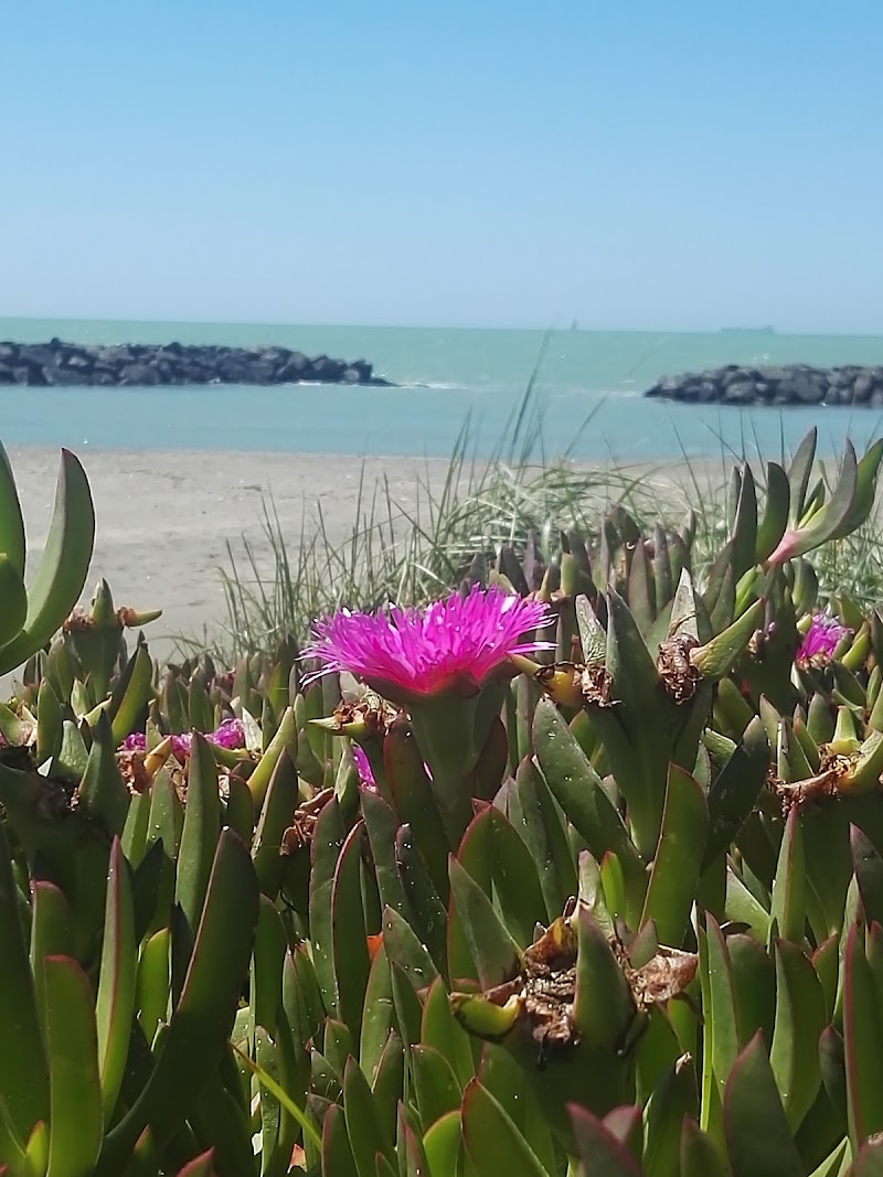 Free Beach - Free Beach, Spiaggia Libera, Lungomare della Salute, 56, 00054 Fiumicino RM, Italy