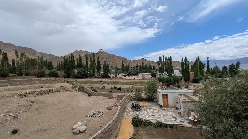 Green View Hotel - Green View Hotel Upper, Karzu Rd, Leh, 194101