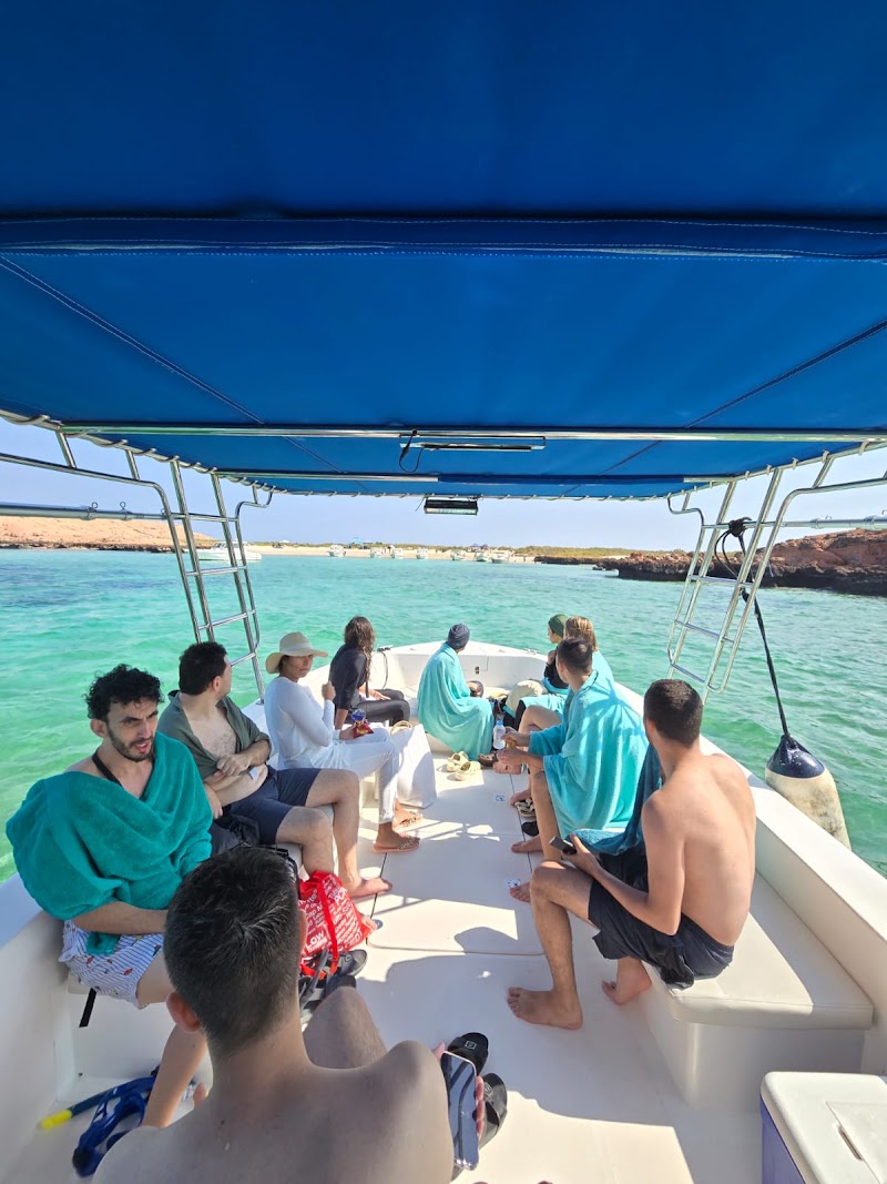 Daymaniyat Islands Sea Tours Oman - Daymaniyat Islands Sea Tours Oman, Al Mouj Marina, Muscat 111, Oman