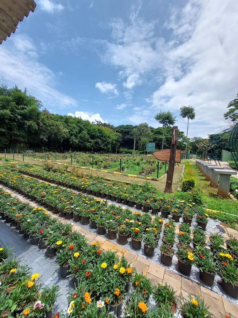 Botanical Garden Lingambudhi Lake ಸಸ್ಯಶಾಸ್ತ್ರ ವಿಶೇಷ ಉದ್ಯಾನ, ಲಿಂಗಾಂಬುಧಿ ಕೆರೆ. - Botanical Garden Lingambudhi Lake ಸಸ್ಯಶಾಸ್ತ್ರ ವಿಶೇಷ ಉದ್ಯಾನ, ಲಿಂಗಾಂಬುಧಿ ಕೆರೆ., 7JF8+7RQ, Lingambudhi Kere, Ramakrishnanagar, Dattagalli, Karnataka 570034, India