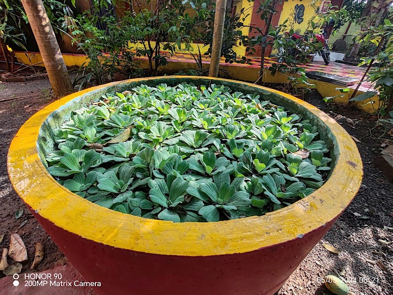 Smith Garden farm house, Pondicherry - Smith Garden farm house, Pondicherry 13 Cross ,Universal Farm House, Edayanchavady Main Rd, Auroville, Irumbai, Tamil Nadu 605101, India