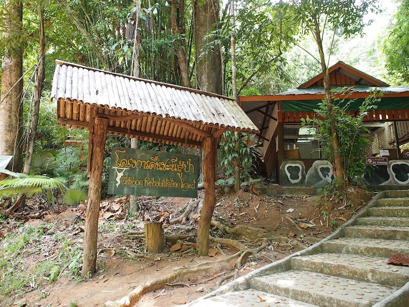 Bang Pae Waterfall - Bang Pae Waterfall, Bangpae waterfall, ป่าคลอก อำเภอถลาง ภูเก็ต 83110, Thailand