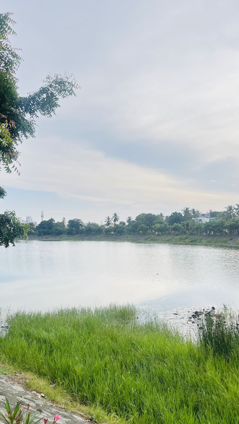 Puzhuthivakkam Lake - Puzhuthivakkam Lake 11/10, Elumalai Nagar, Annai Theresa Nagar, Adambakkam, Chennai, Tamil Nadu 600091, India