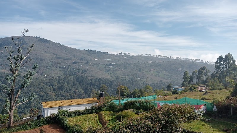 Kurinji Nagar Road