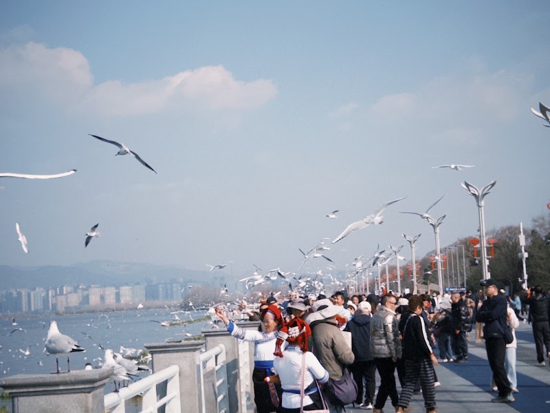 Dianchi - Dianchi, Kunming, China