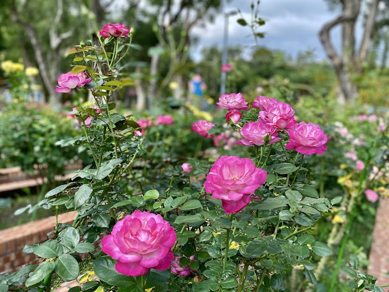 Rose Garden - Shilin Residence - Rose Garden - Shilin Residence No. 60號, Fulin Rd, Fulin Village, Shilin District, Taipei City, Taiwan 111