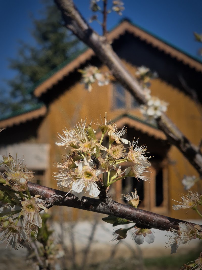 Yathra Lahari FarmStay