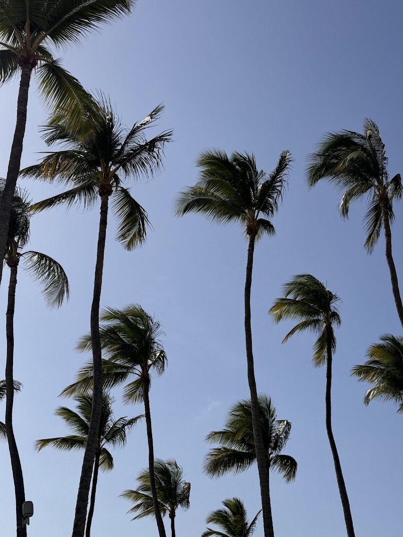 Palm Beach - Palm Beach, Aruba