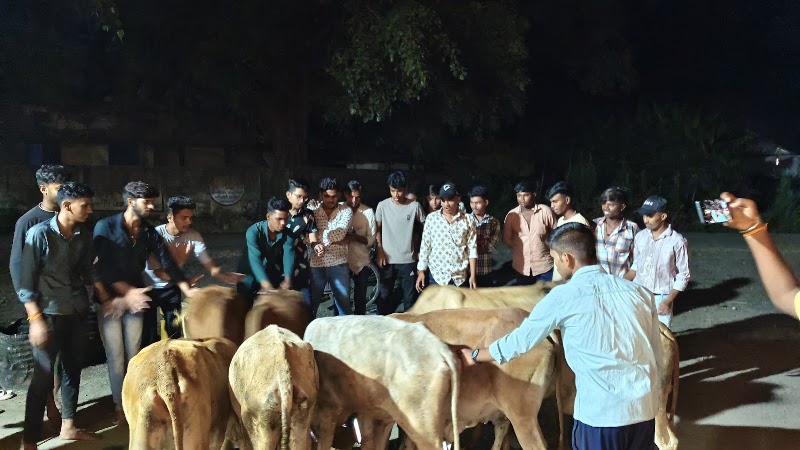 Gau seva hathnewra - Gau seva hathnewra, XMQH+5M8, Hathnewra, Chhattisgarh 495671, India