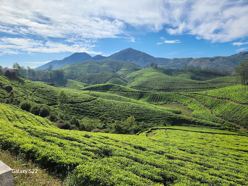 Tour Kerala.. POORAPREMI ❤️ - Tour Kerala.. POORAPREMI ❤️, Periyar Nagar, Aluva, Kerala 683101, India