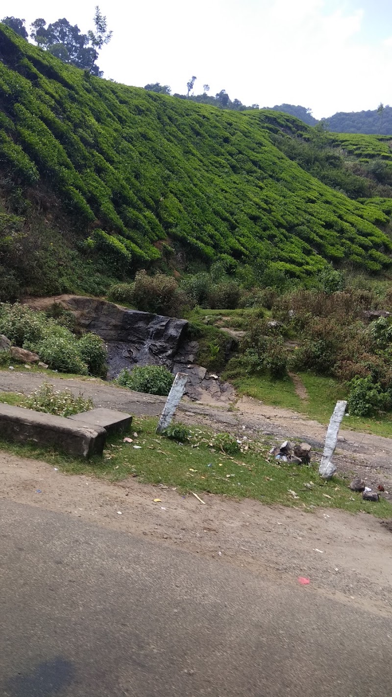 Pipeline view point. - Pipeline view point. 22VW+PG5, Munnar - Aluva Rd, Keralam 685565, India