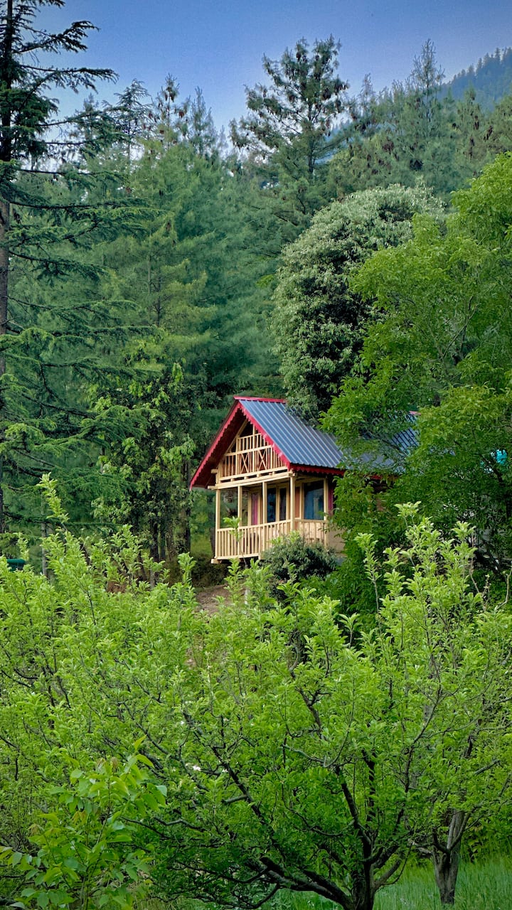 Jibhi nature tree house. - Jibhi nature tree house. Latipri, Himachal Pradesh 175123, India