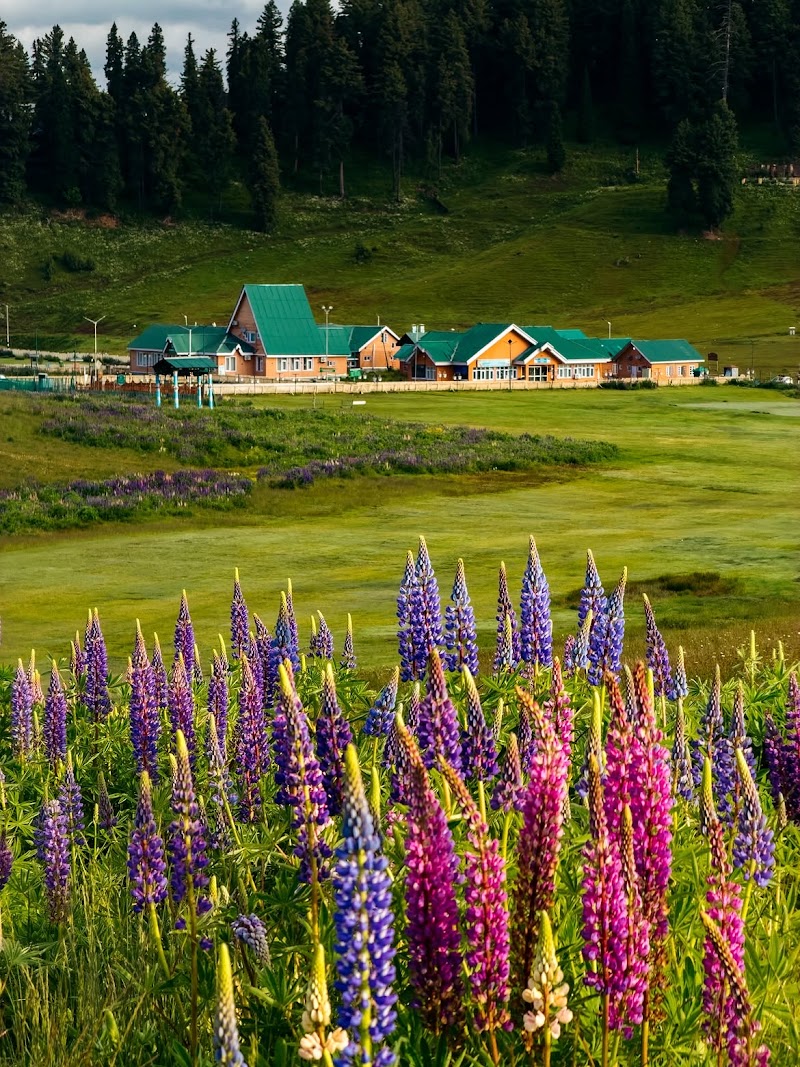 J&K Tourism Gulmarg - J&K Tourism Gulmarg 29XJ+86V, Gulmarg, 193403