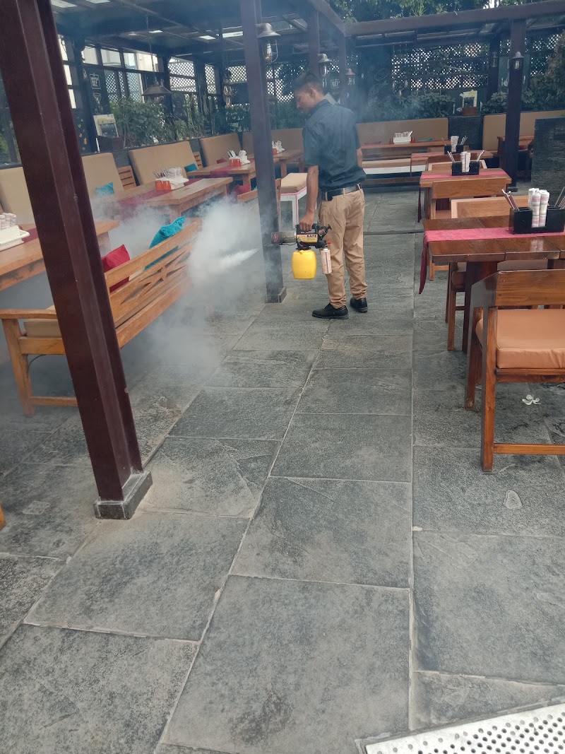 Safe Pest Control Services Pvt Ltd - Safe Pest Control Services Pvt Ltd, 53, MD Block, Ranoji Rao Road, S Cross Rd, Basavanagudi, Bengaluru, Karnataka 560004, India