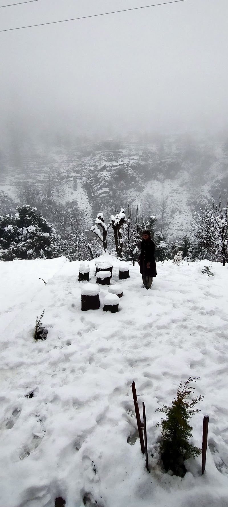 Tirthan Valley Pine View Home Stay - Tirthan Valley Pine View Home Stay, Vill. Faryadi Tirthan Valley, Pine View Home Stay, Banjar, Chippni, Himachal Pradesh 175123, India
