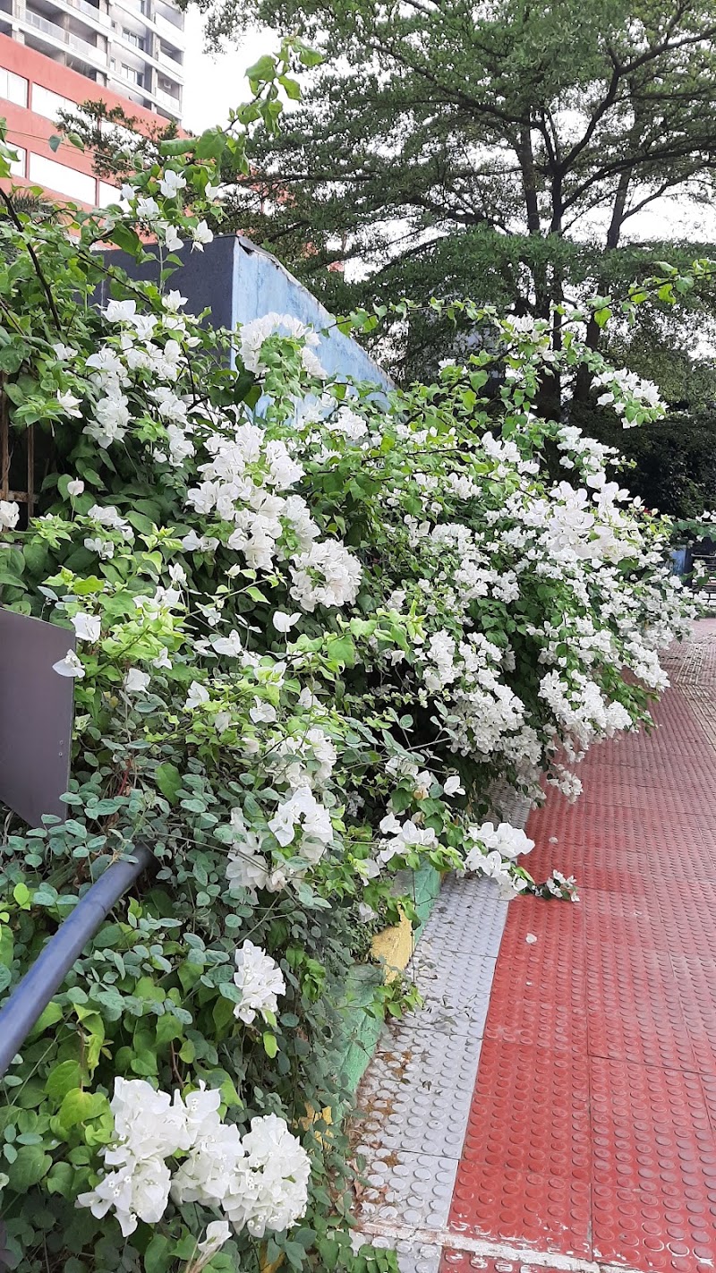 Greater Chennai Corporation Park - Greater Chennai Corporation Park X6R9+834, Indira Gandhi Nagar, Velachery, Chennai, Tamil Nadu 600042, India
