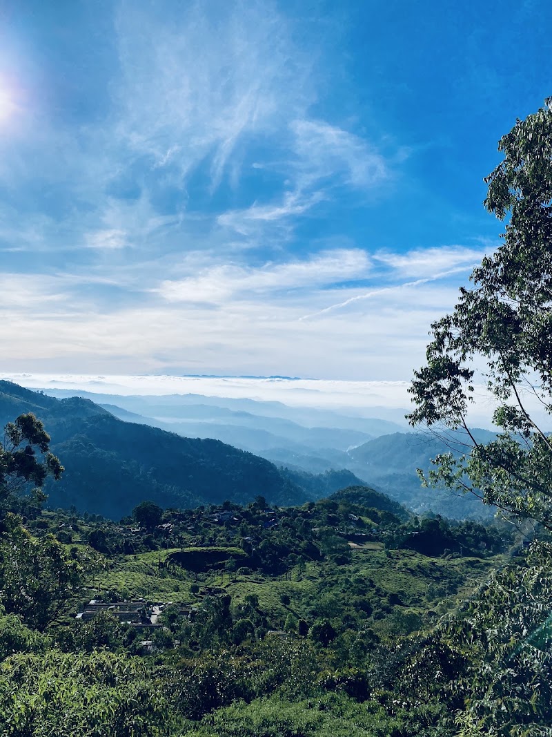 Pallivasal View Point - Pallivasal View Point 23W3+X62, Pallivasal, Keralam 685565, India
