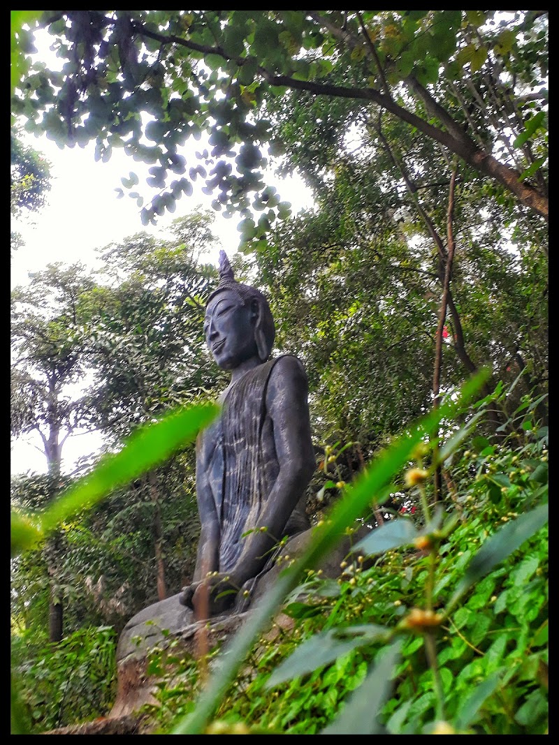 Koregaon Park - Koregaon Park, Pune, Maharashtra 411001, India