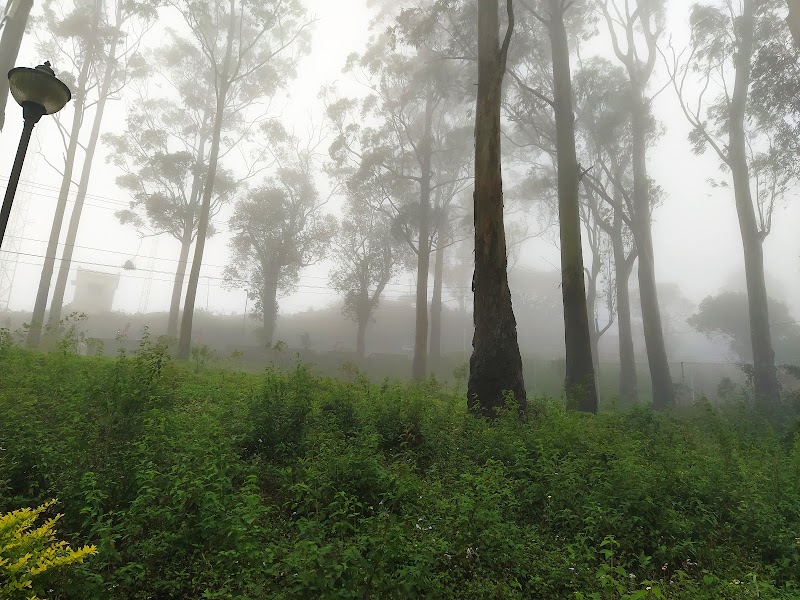 Gents Seat view point - Gents Seat view point Q5FX+CPG, Ladies Seat Rd, near T.V.Station, Yercaud, Tamil Nadu 636601, India