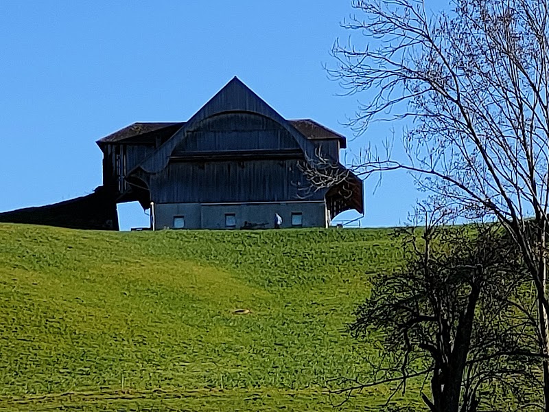 Seeburghof - Seeburghof Salzfassstrasse 37, 6006 Luzern, Switzerland