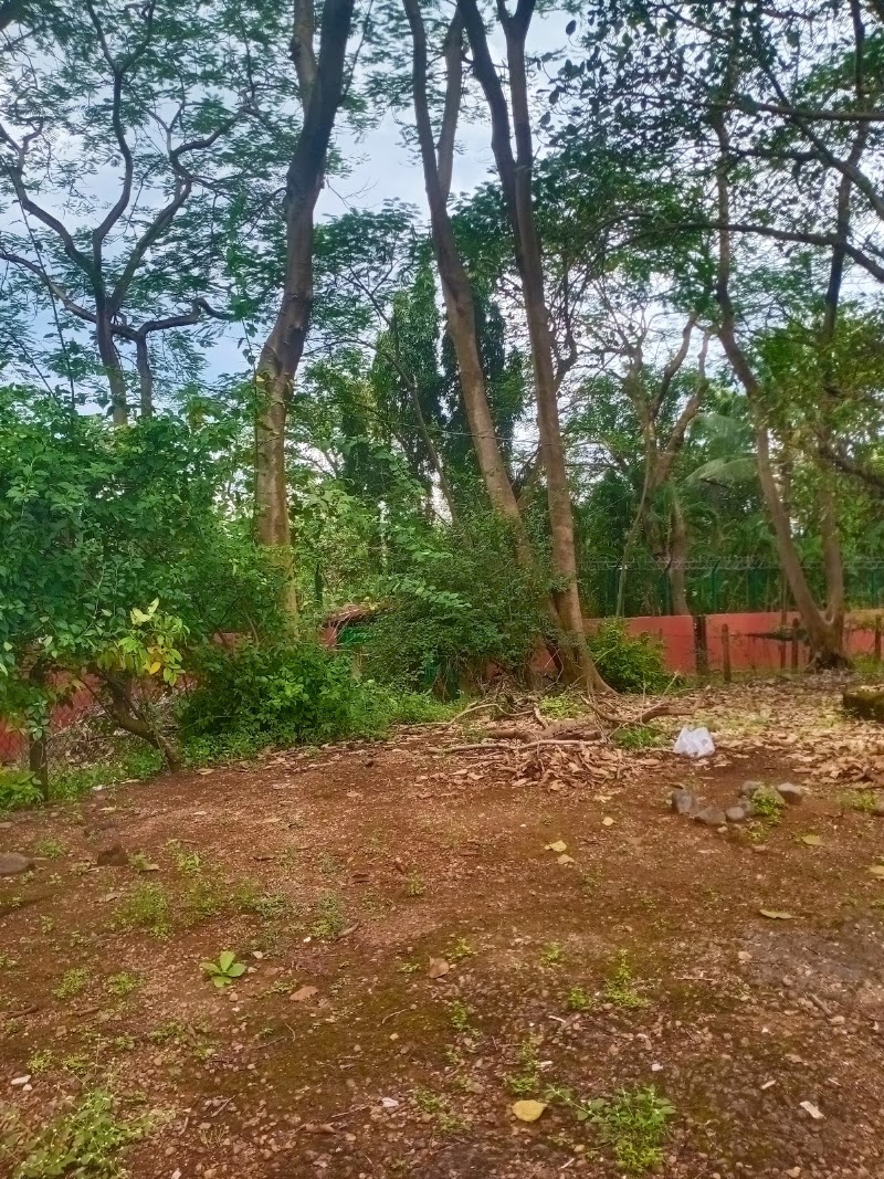 Dream River Farmhouse - Dream River Farmhouse XCJ2+33J, Pulachiwadi, Maharashtra 410201, India