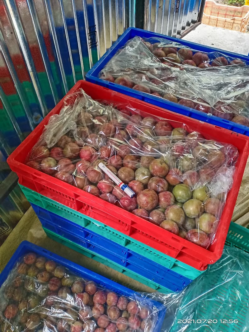 K S Orchards - K S Orchards, Sajla Bihal, Manali, Himachal Pradesh 175143, India