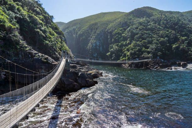 Tsitsikamma National Park - Tsitsikamma National Park, South Africa