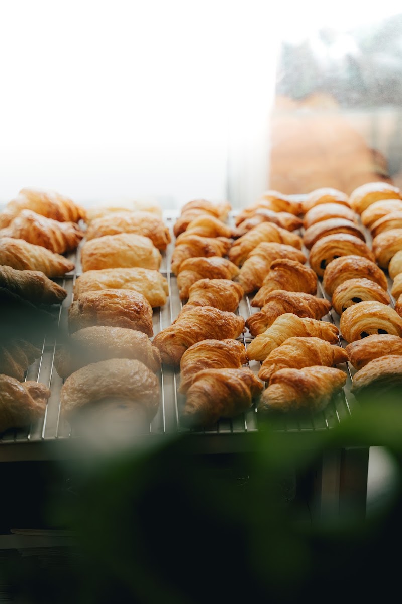 TheDorkyFrench vegan bakery - TheDorkyFrench vegan bakery 39 Parnie St, Glasgow G1 5RJ, UK