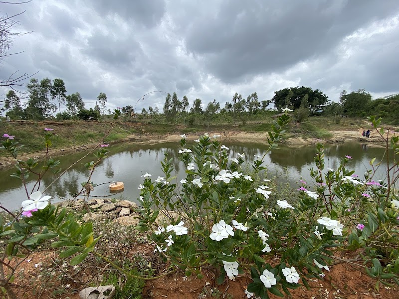 Citrus trial farm - Citrus trial farm PHF9+HGR, Hongemara, Shivanahalli, Karnataka 560083, India