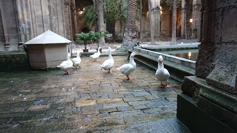 Hotel Regencia Colon - Hotel Regencia Colon Carrer dels Sagristans, 13, 17, Ciutat Vella, 08002 Barcelona, Spain