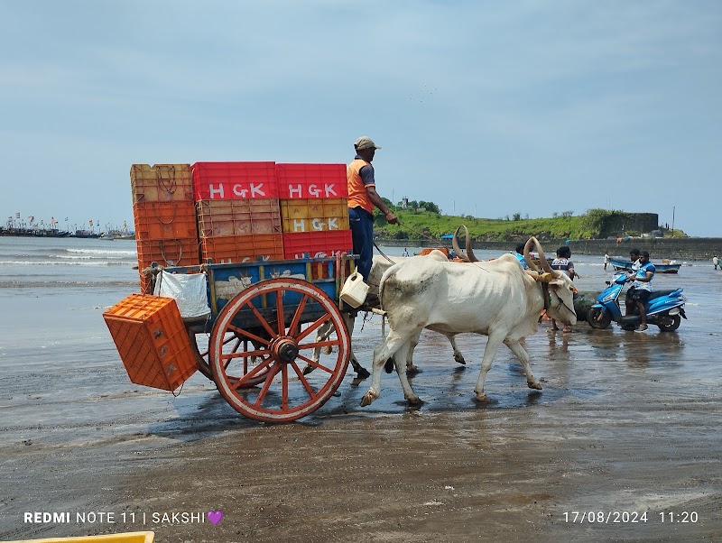 Harnai Beach - Harnai Beach, Maharashtra 415713, India