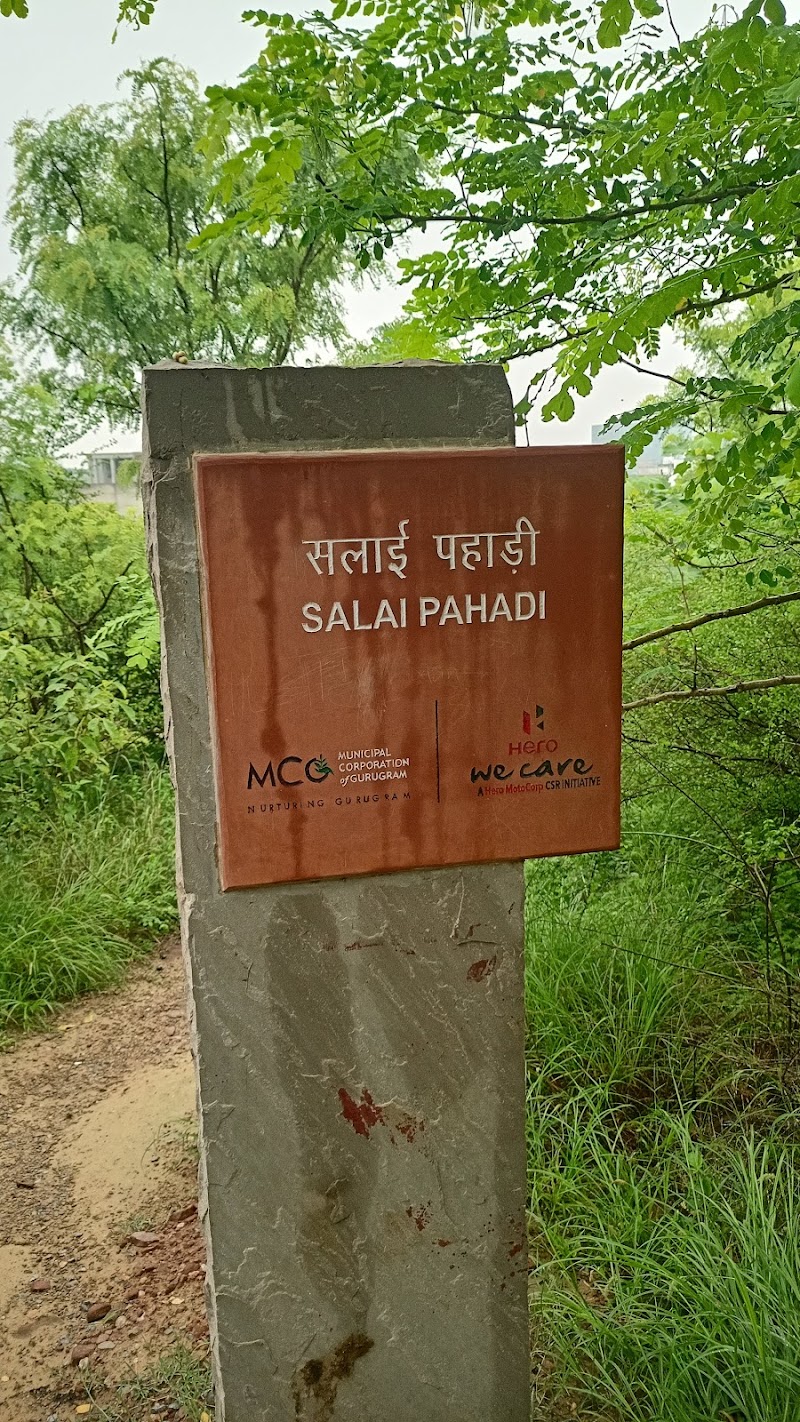 Sunrise point - Sunrise point S-11/7, DLF Phase 3, Sector 24, Gurugram, Haryana 122010, India
