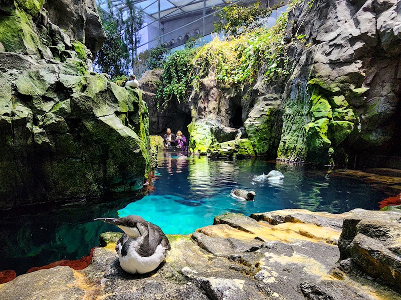 Oceanário de Lisboa - Oceanário de Lisboa, Esplanada Dom Carlos I s/nº, 1990-005 Lisboa, Portugal