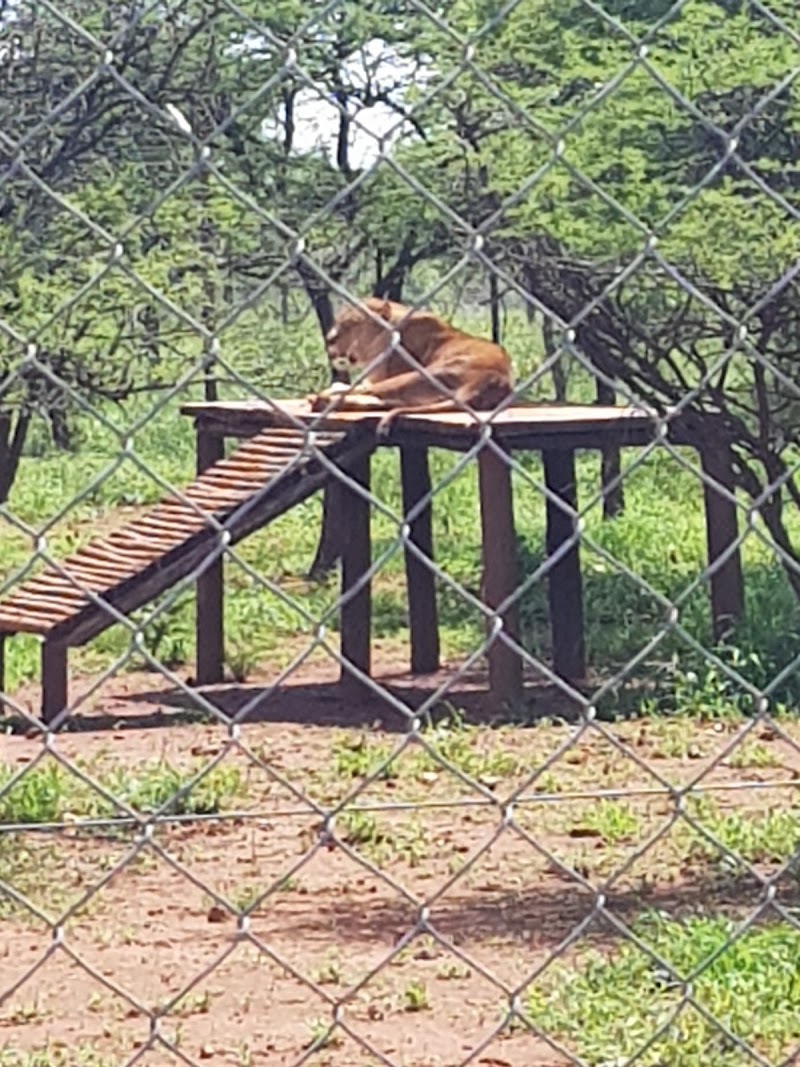 Tshabala Game Sanctuary - Tshabala Game Sanctuary, QH5C+QX3, Matopos Rd, Bulawayo, Zimbabwe
