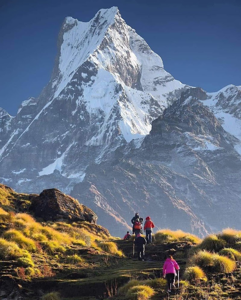 Mardi Himal Trek - Mardi Himal Trek Lwang Ghalel 33700, Nepal