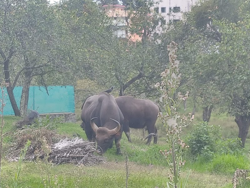 Kurinji Farms - Kurinji Farms 3, Lloyd's Rd, Kodaikanal, Tamil Nadu 624101, India