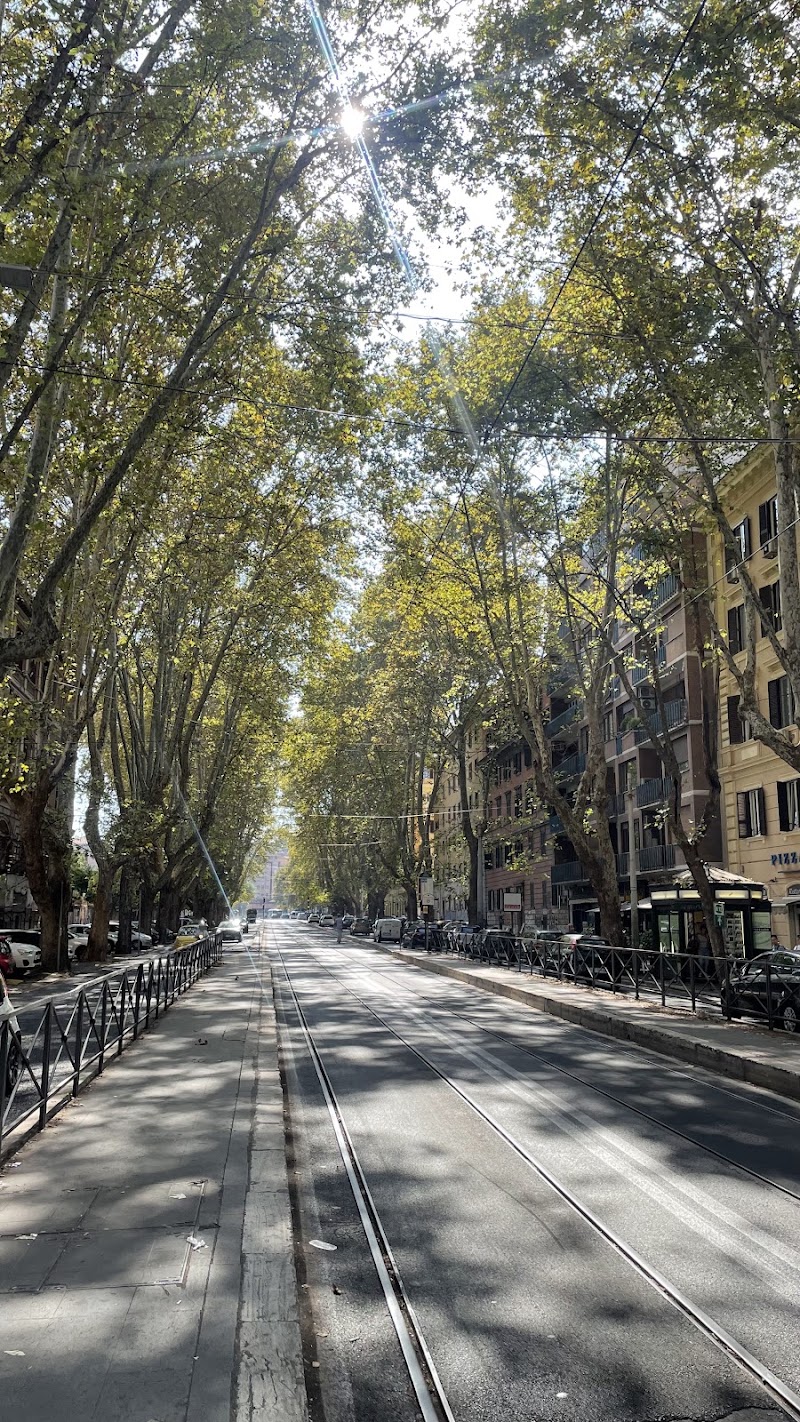 Trastevere/Bernard. Da Feltre - Trastevere/Bernard. Da Feltre, 00153 Rome, Metropolitan City of Rome Capital, Italy