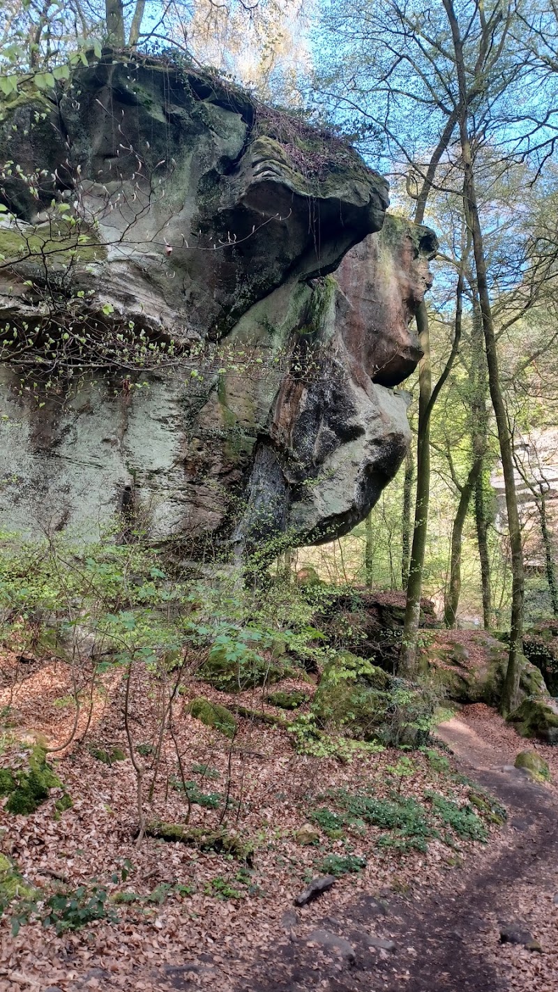 Labyrinthe - Labyrinthe, CR364, 6550 Berdorf, Luxembourg