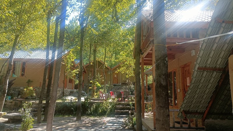 The Local Kitchen - Cafe and restaurant - The Local Kitchen - Cafe and restaurant near Tirthan Nature Camps, Distt, VPO, Gushaini, Banjar, Himachal Pradesh 175123, India