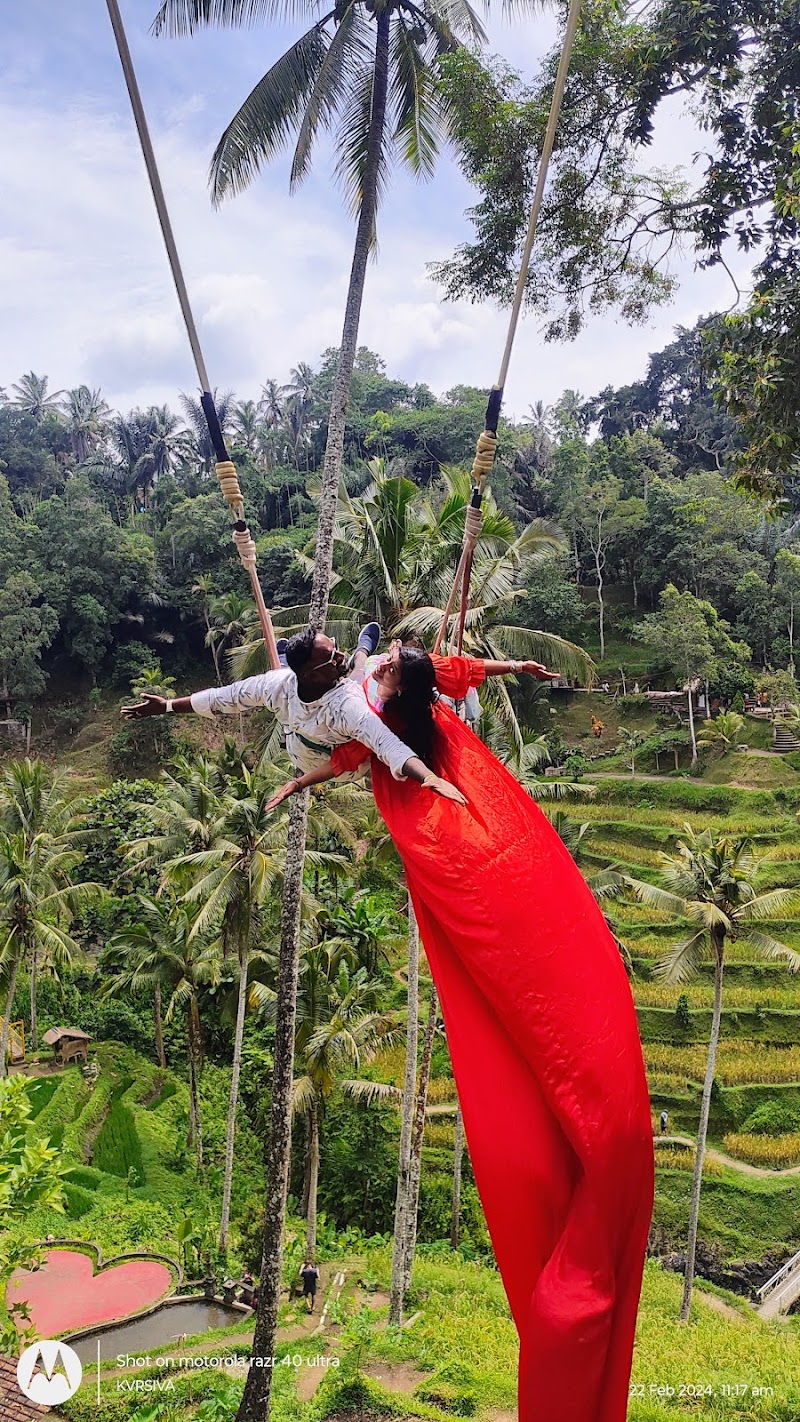 Bali Land Tours | Bali Tours | Group Package - Bali Land Tours | Bali Tours | Group Package, Jl. Mekar II B3A No.42, Pemogan, Denpasar Selatan, Kota Denpasar, Bali 80221, Indonesia