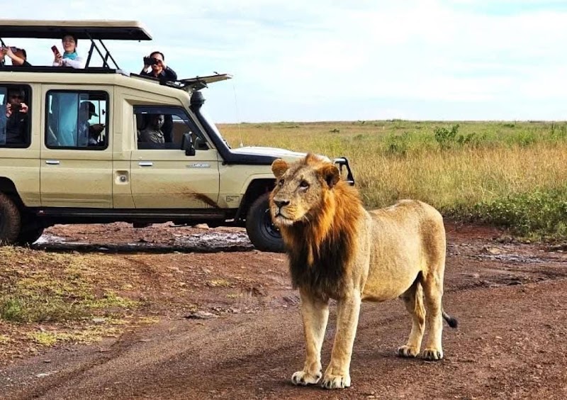 JANXII TOURS & TRAVELS | CABS SERVICES | TOURS PACKAGES FOR VARANASI, PRAYAGRAJ, AYODHYA | BOAT RIDE | TOUR GUIDE | - JANXII TOURS & TRAVELS | CABS SERVICES | TOURS PACKAGES FOR VARANASI, PRAYAGRAJ, AYODHYA | BOAT RIDE | TOUR GUIDE | near gramin bal siksha niketan school, Azad Nagar Colony, Phulwari Village, Varanasi cantonment, Varanasi, Uttar Pradesh 221002, India
