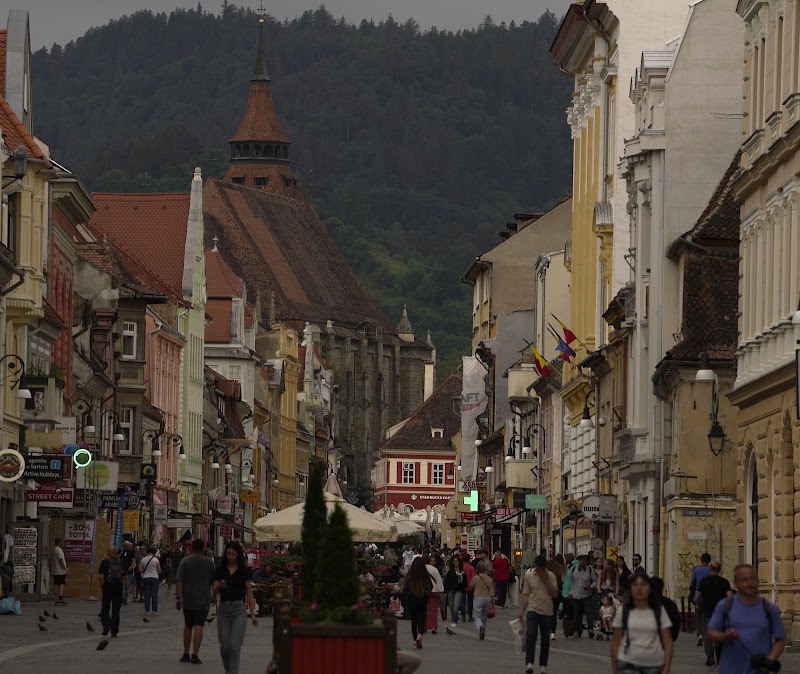 The ruins of the Brassovia Fortress - The ruins of the Brassovia Fortress, Centrul Vechi, Brașov, Romania