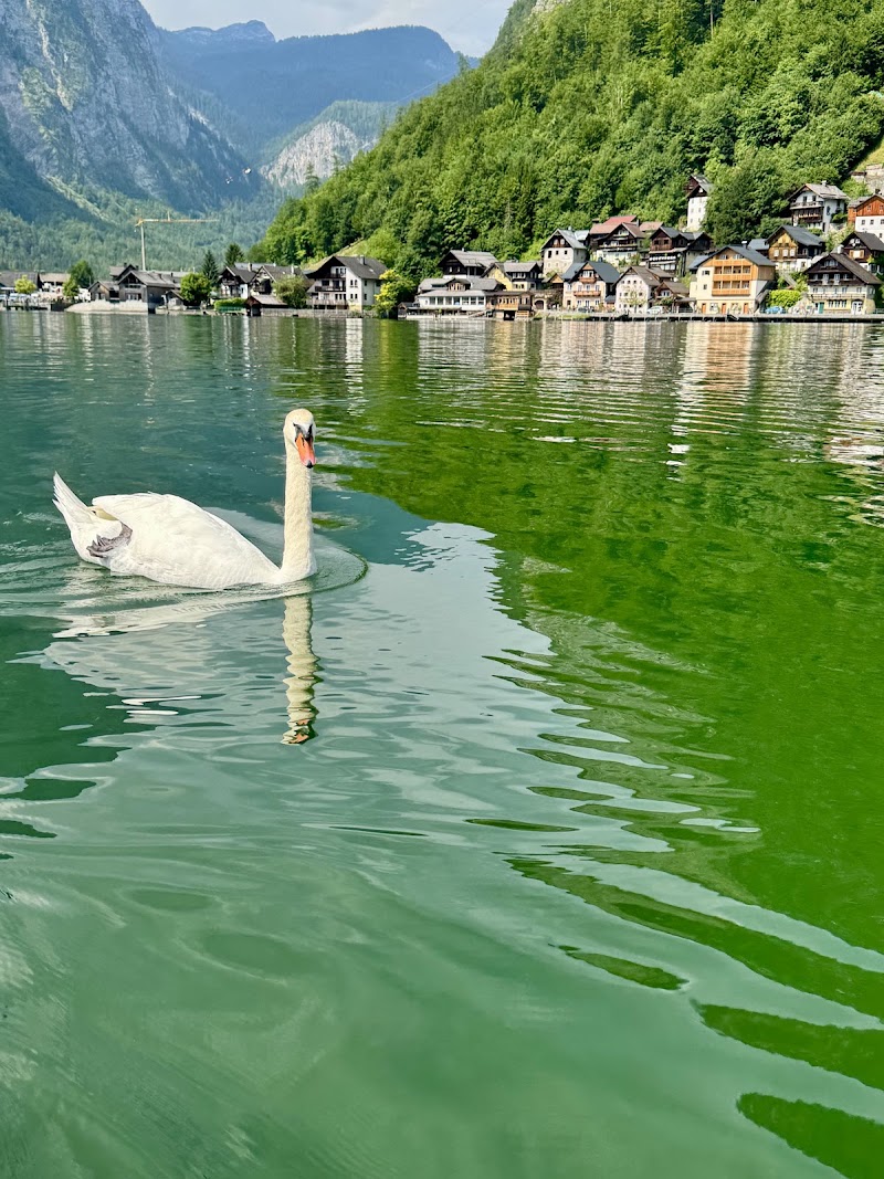 Bootsverleih Hemetsberger - Bootsverleih Hemetsberger, Am Hof 126, 4830 Hallstatt, Austria