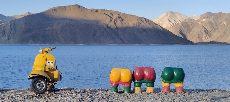 Ladakh Experts - Ladakh Experts, Changspa Rd, Leh, 194101