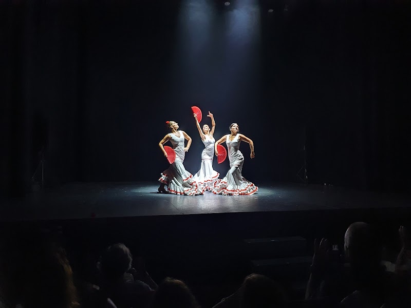 Teatro Flamenco Sevilla - Teatro Flamenco Sevilla C. Cuna, 15, Casco Antiguo, 41004 Sevilla, Spain