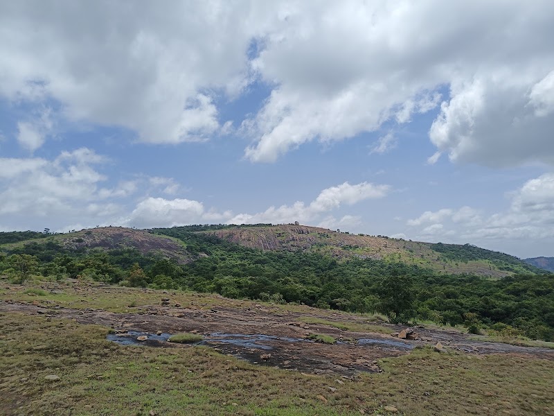 Chinaga Betta Trek - Chinaga Betta Trek, 95X8+CF4, Karnataka 572106, India