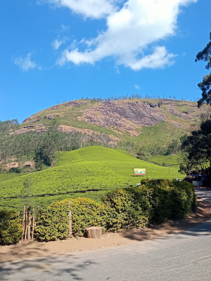 Munnar Hill Station (The Kashmir of South India) - Idukki District, Kerala, India - Munnar Hill Station (The Kashmir of South India) - Idukki District, Kerala, India 33Q5+HRC, Nullatanni, Munnar, Kerala 685612, India