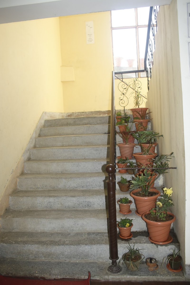 shradhaluniwas - shradhaluniwas, behind hotel vishal, arli road katra( shortcut railway road, Second lane from, hotel vishal, to, Arli Road, Katra, 182301